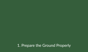 1 Prepare the Ground Properly
