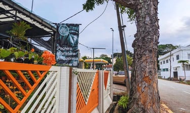 the exterior of birch gurney a local plant nursery and advice center in Penang near gurney drive