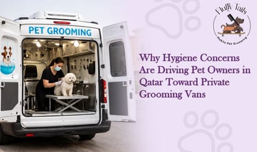 Why Hygiene Concerns Are Driving Pet Owners in Qatar Toward Private Grooming Vans