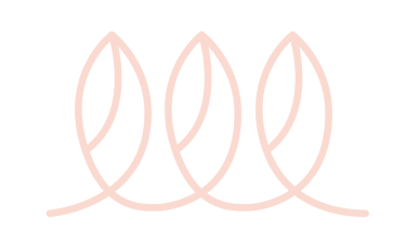 accompagnement et prévention pour personnes fragilisées