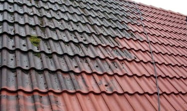 roof soft washing fort lauderdale before and after