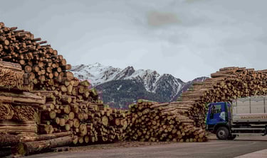 großer holzstapel im hintergrund schöne berge von tirol mit blauen lkw der holz transportiert