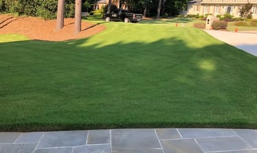 A well-maintained Bermuda Grass lawn 16 * 9