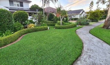 Beautifully installed Buffalo Grass lawn at a residential home in Whitefield, Bangalore