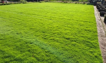 Recently completed Bermuda Grass project in Koramangala, Bangalore