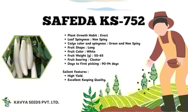 Safeda KS-752 white long eggplant seeds product sheet showing white brinjal variety and features.