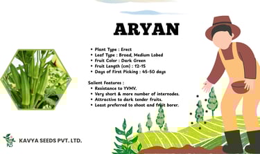 Aryan okra seed specifications from Kavya Seeds showing dark green fruit and YVMV resistance features.