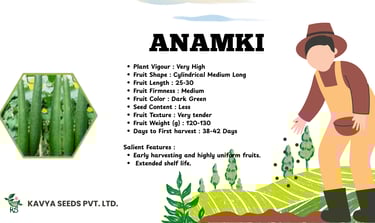 Anamki sponge gourd seeds technical specifications and features by Kavya Seeds Pvt. Ltd.