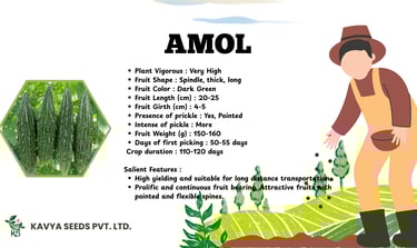 Amol variety hybrid bitter gourd seeds by Kavya Seeds featuring high yield dark green fruits.