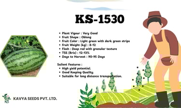Madhu Raj muskmelon hybrid seeds features including salmon flesh, high yield, and 60-day harvest.