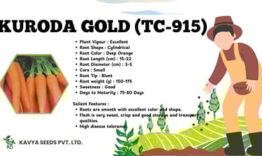 Kuroda Gold TC-915 carrot seeds product info sheet with orange carrots and farmer illustration.