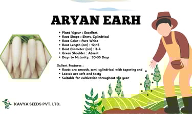 Aryan Earh hybrid white radish seeds product feature list with cylindrical root image and farmer illustration.