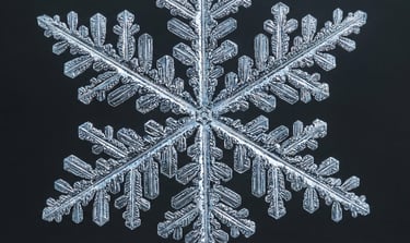 Détail au microscope d'un flocon de neige