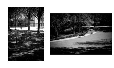 Black and white street photography of empty park benches on a university campus with trees and shadows.