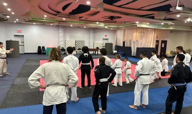 Jiu JItsu Brésilien BJJ St Léonard SPVM MMA BJJ