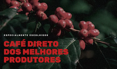 Criação de Identidade Visual | Cafehafen | Cafés Especiais
