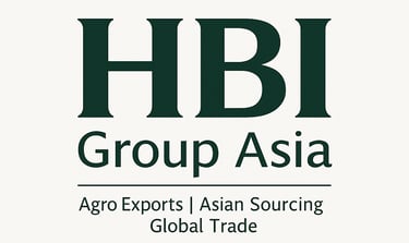 Official logo of HBI Group Asia global trade and export infrastructure platform.