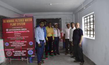 KNP high school teachers