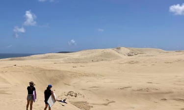 sandboarding in northland