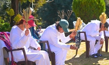 Shamanic ceremony of huachuma at dawn and healing