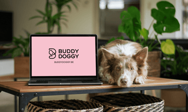 dog walking et pet sitting à bruxelles