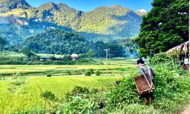 Vietnam people