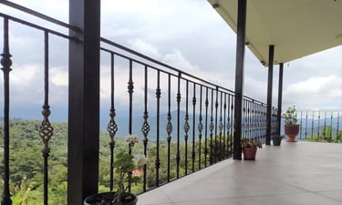 Hall balcon casa nocaima