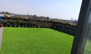 Artificial Grass