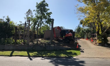 Canopy cut first ready for levering the stumps out.