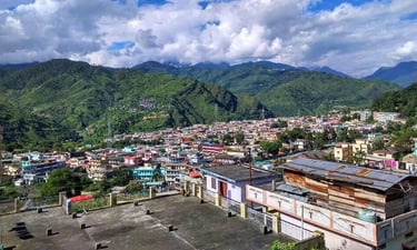 a view of a city with mountains in the background
