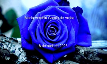 Maria Antonia Garcia de Arriba