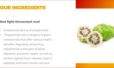 Lees wat de invloed van je microbioom is