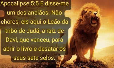 leao da tribo de Juda
