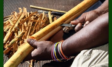 monreve ceylon - ceylon cinnamon- export-sri lanka