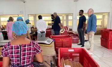 monreve ceylon - ceylon cinnamon- export-sri lanka