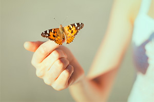 mindfulness hypnosis