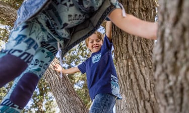 Fashion photography - two boys playing in a tree