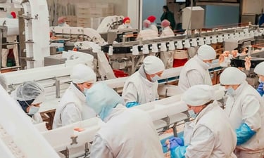 Manufacturing facility employees operating machinery under real-time video monitoring and perimeter