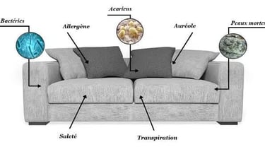 canapé sale