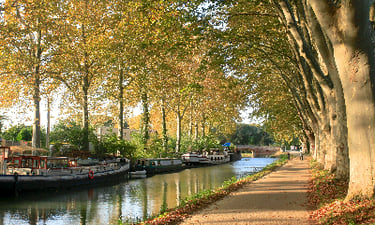 Internship in France in Toulouse