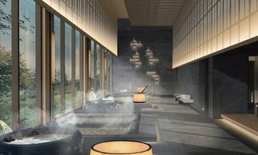 하이엔드 웰니스