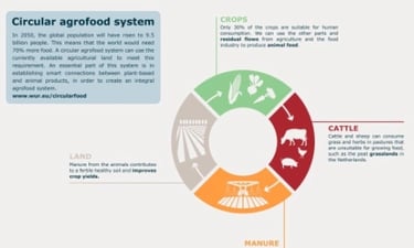 A chart explaining Circular Agrifood System