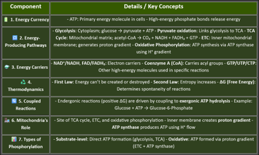 Key components bioenergetics