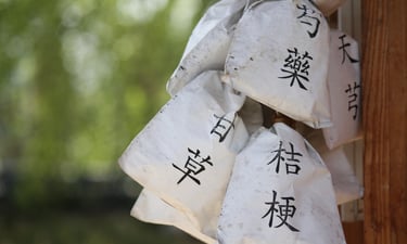 Acupuntura Japonesa en Barcelona