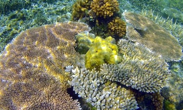 Balabac Island Philippines