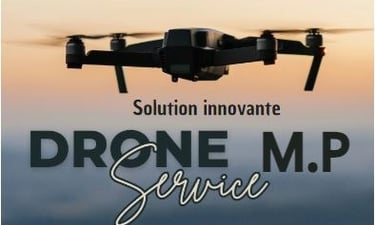 Drone service