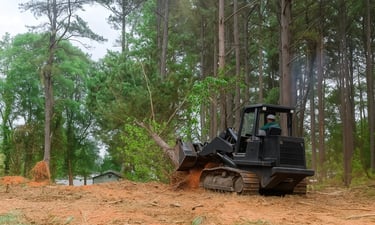 Noblesville land clearing