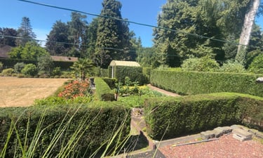 Hagen en struiken snoeien en scheren