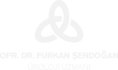 Furkan Şendoğan