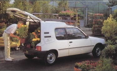 Peugeot 205 Multi